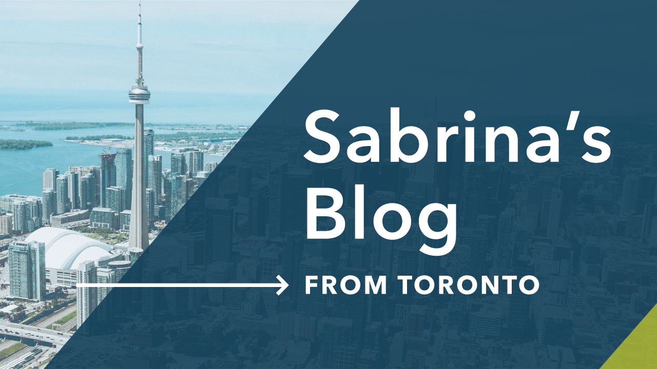 Seki's blog from New York